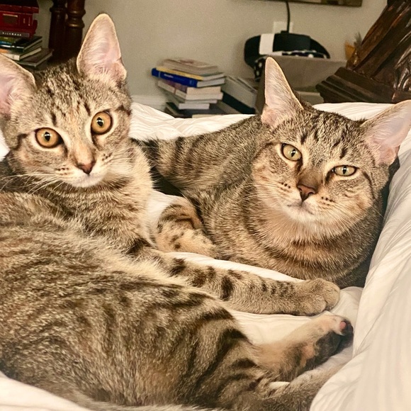 Meet your Posher, Christine - Picture 15 of 15